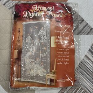 Harvest Lace Lighted Panel RARE. 40x84